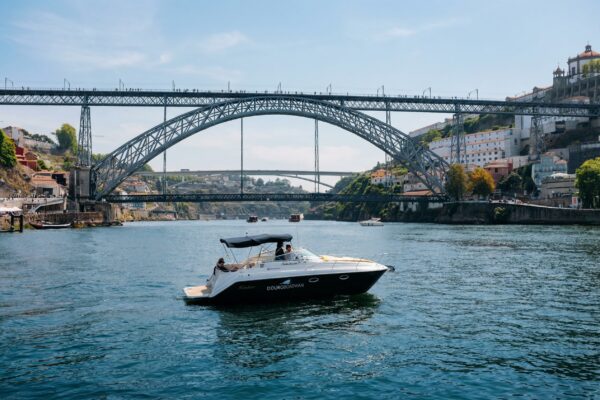 Exclusive Douro River Yacht with Private Tasting Menu (Up to 8 Guests)