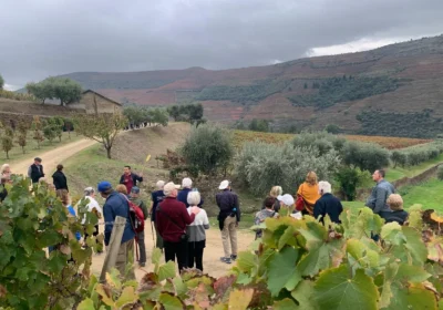 Douro Valley Full Day Tour