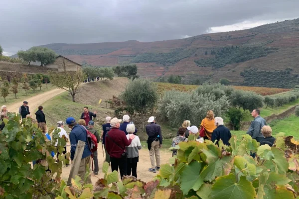 Douro Valley Full Day Tour