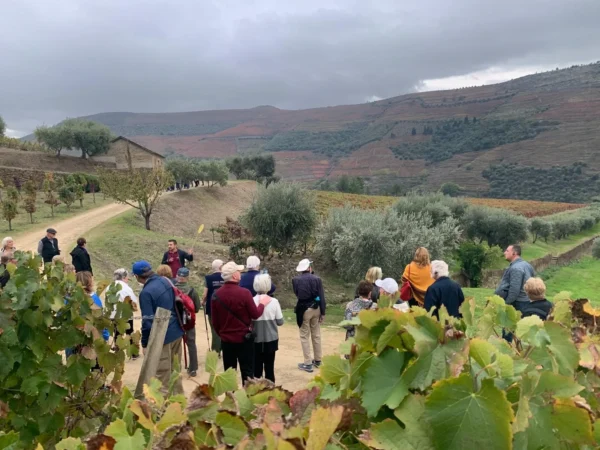 Douro Valley Full Day Tour